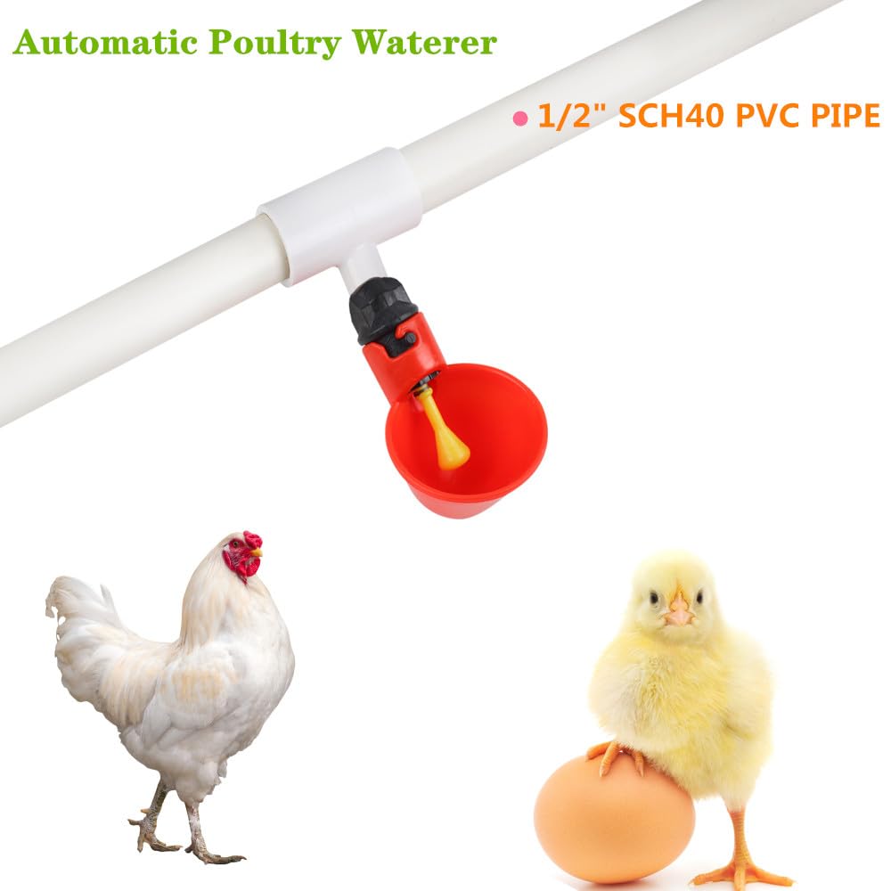 12 Pack Automatic Plastic Chicken Waterer Cups Q857