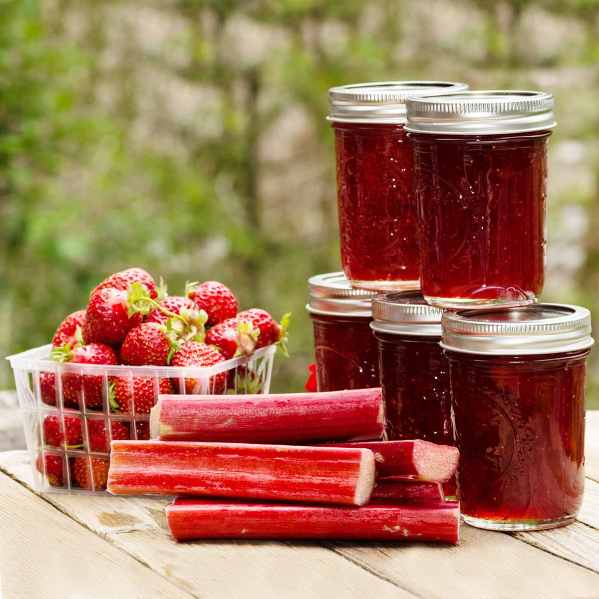 16 oz 6 Pack Wide Mouth Glass Mason Jars with Airtight Lids M1659