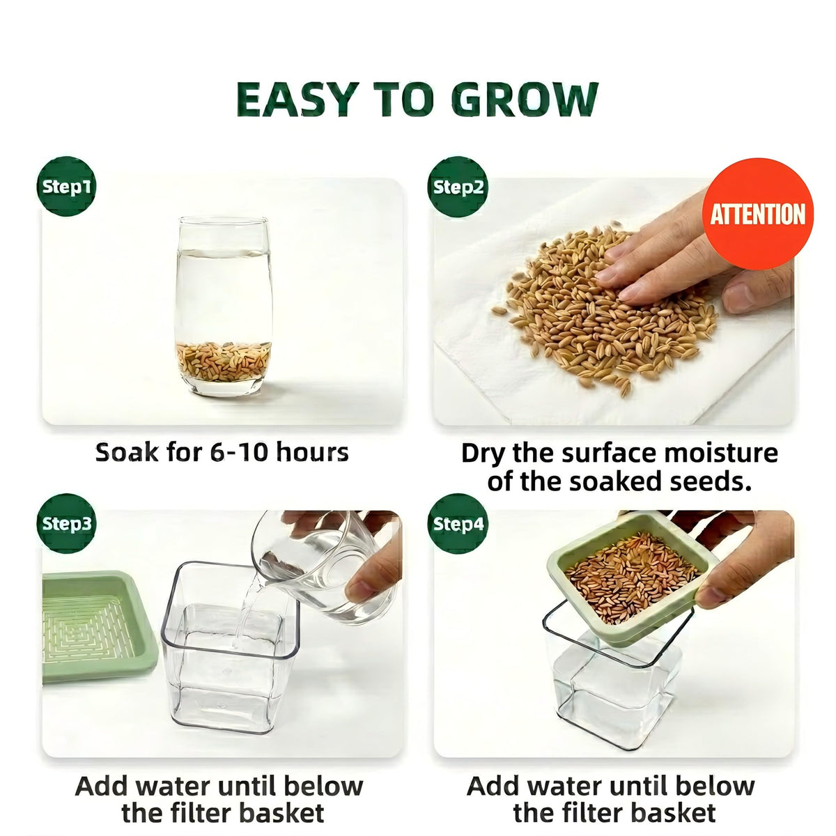 Cat Grass Kit with 5 Pack Non GMO Seeds & Scissors E52398
