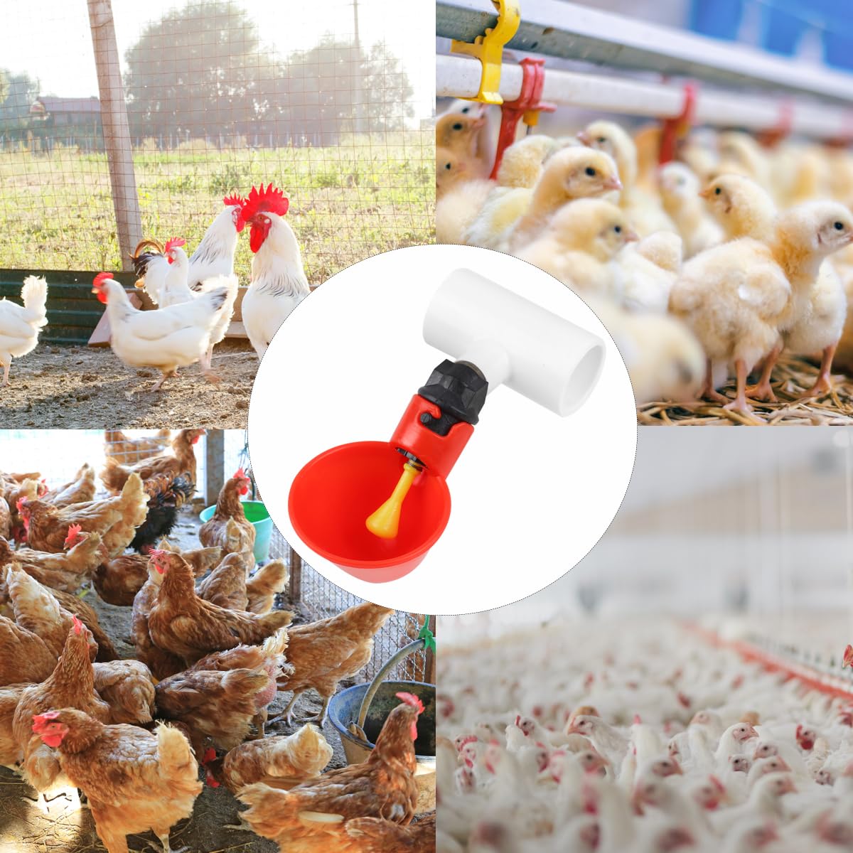 12 Pack Automatic Plastic Chicken Waterer Cups Q857