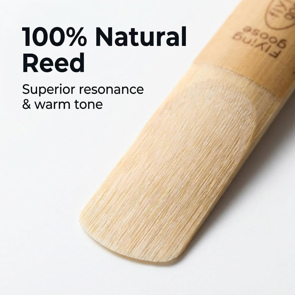 Alto Saxophone Reeds Strength 2.5 Natural Cane 10-Pack R944564