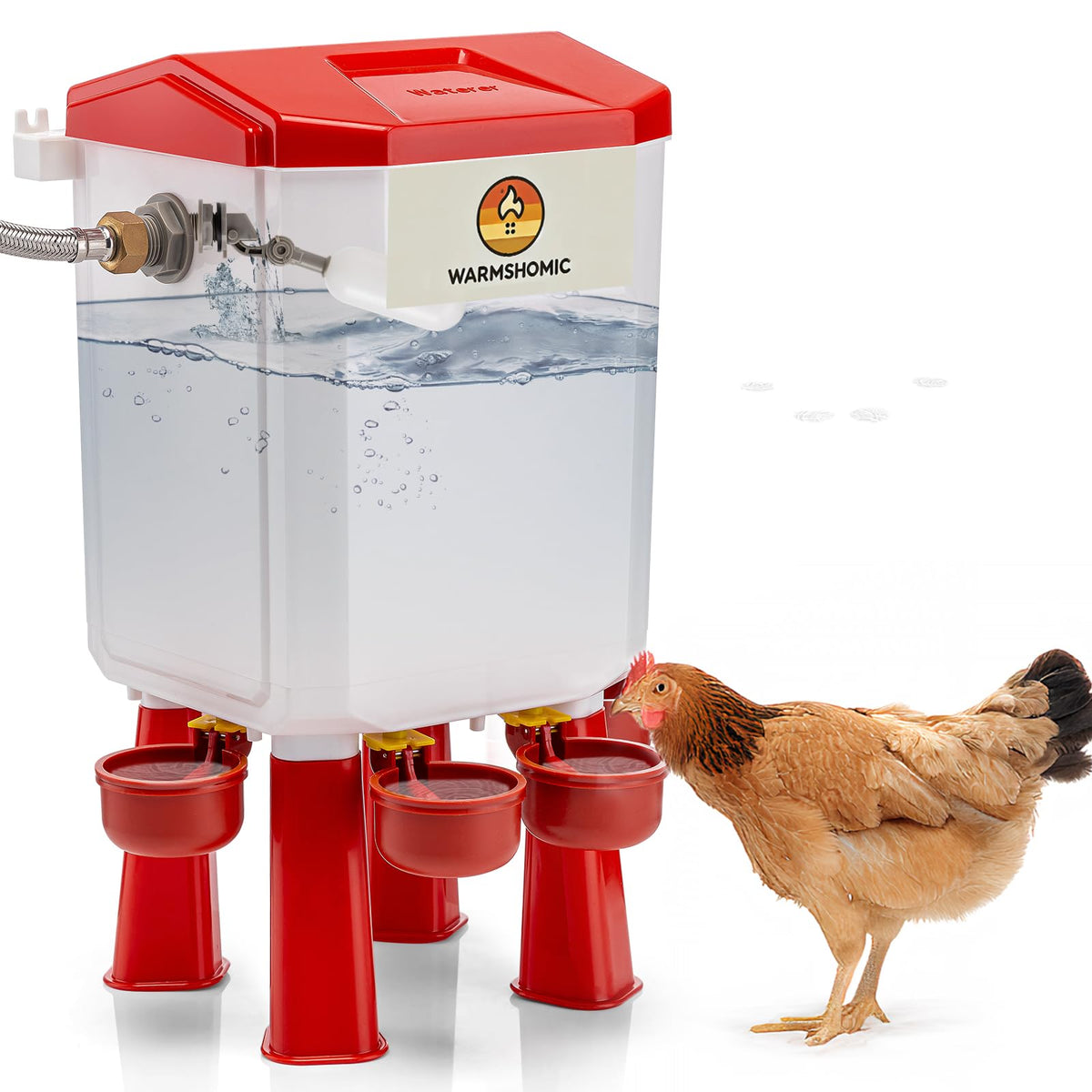 Automatic Chicken Waterer with Stainless Steel Hose P955