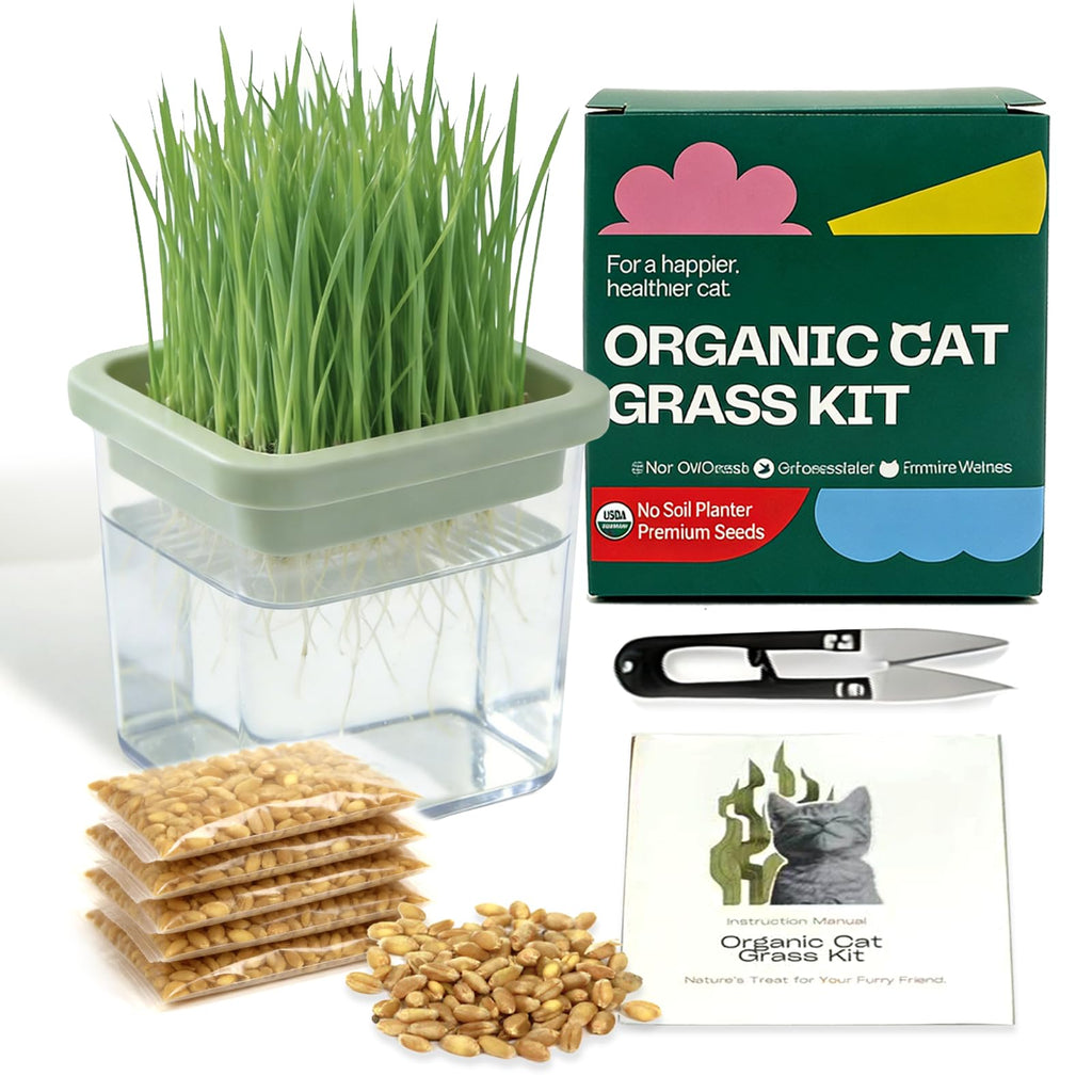 Cat Grass Kit with 5 Pack Non GMO Seeds & Scissors E52398