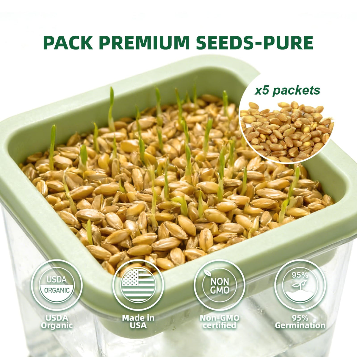 Cat Grass Kit with 5 Pack Non GMO Seeds & Scissors E52398