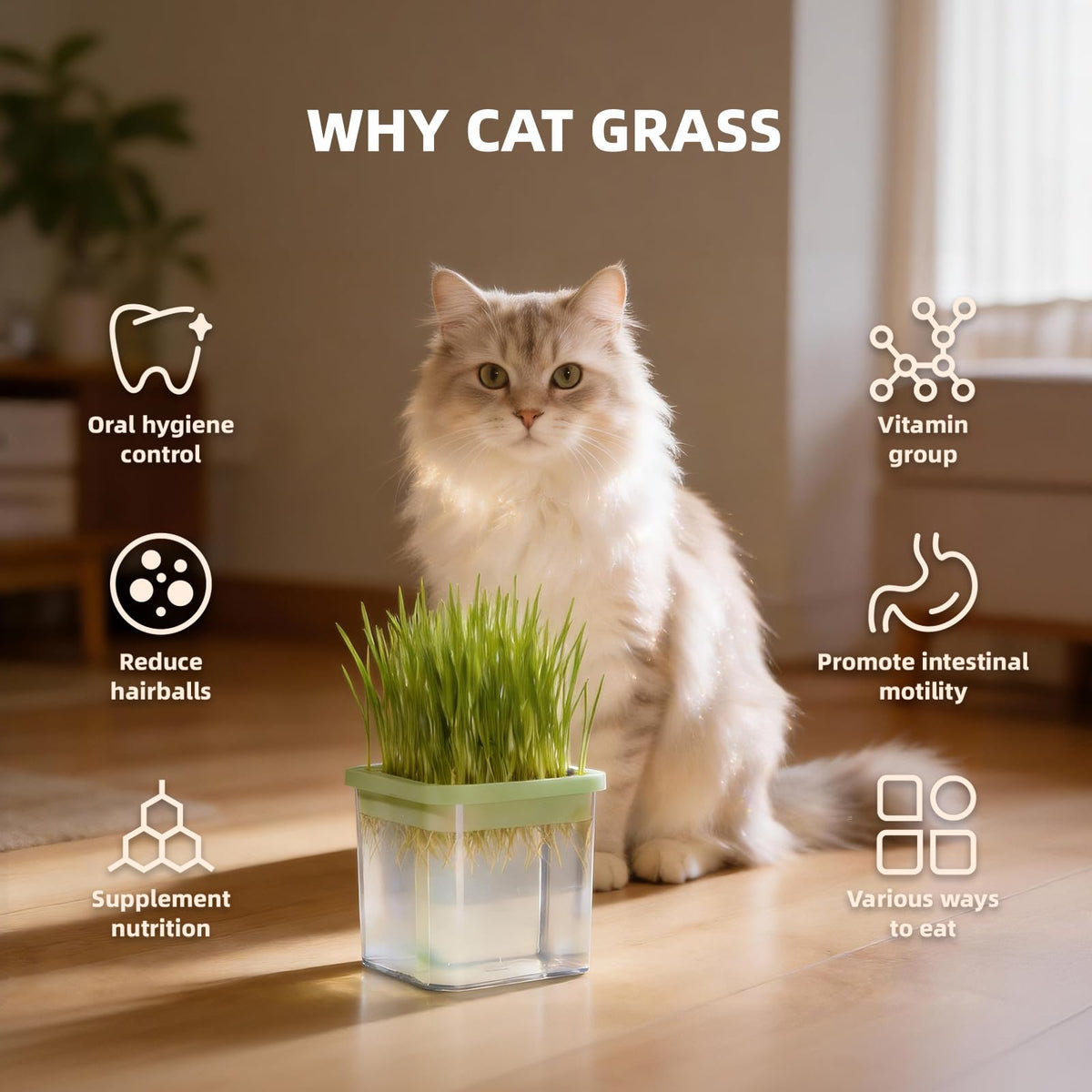Cat Grass Kit with 5 Pack Non GMO Seeds & Scissors E52398