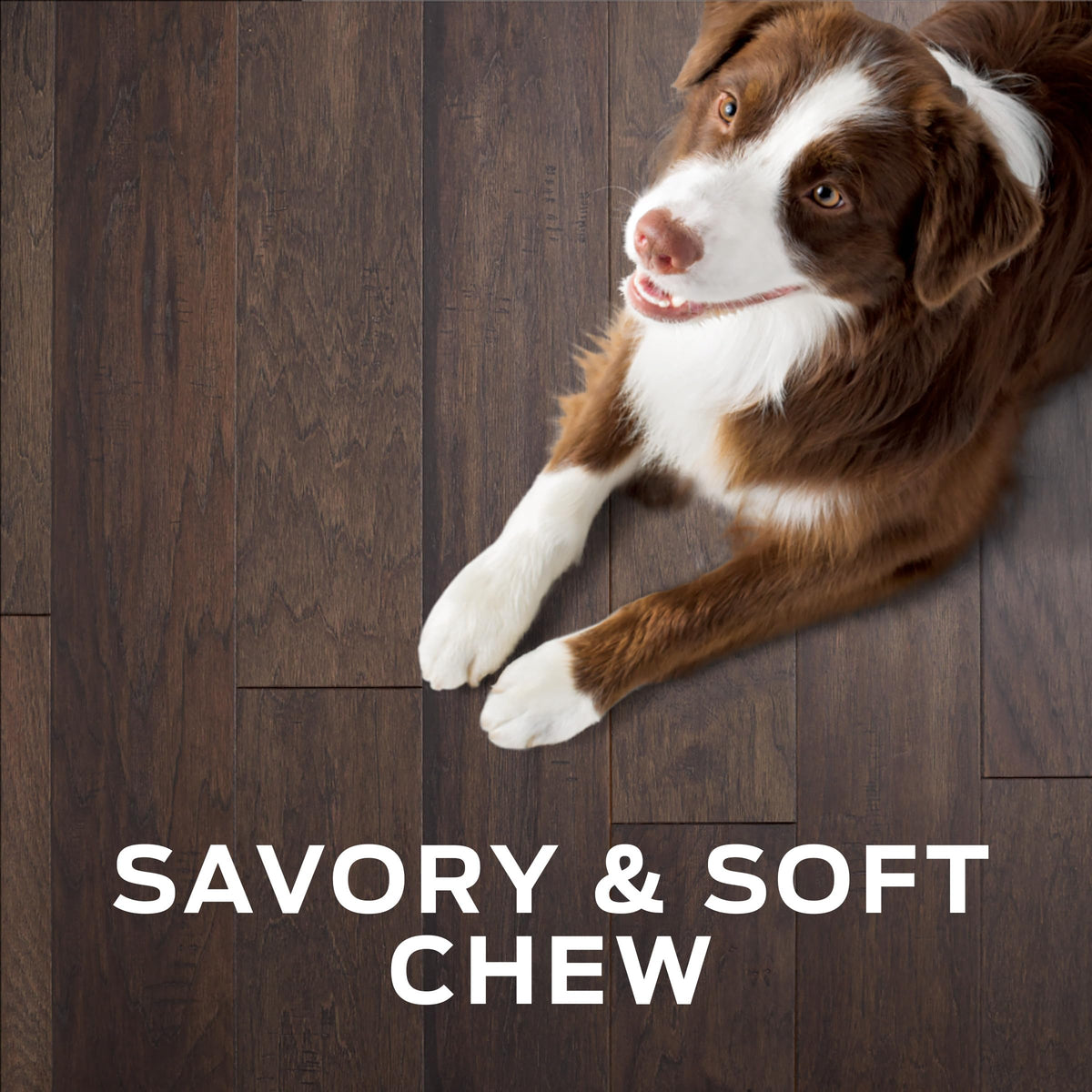 Dog Treats 16 oz U504820