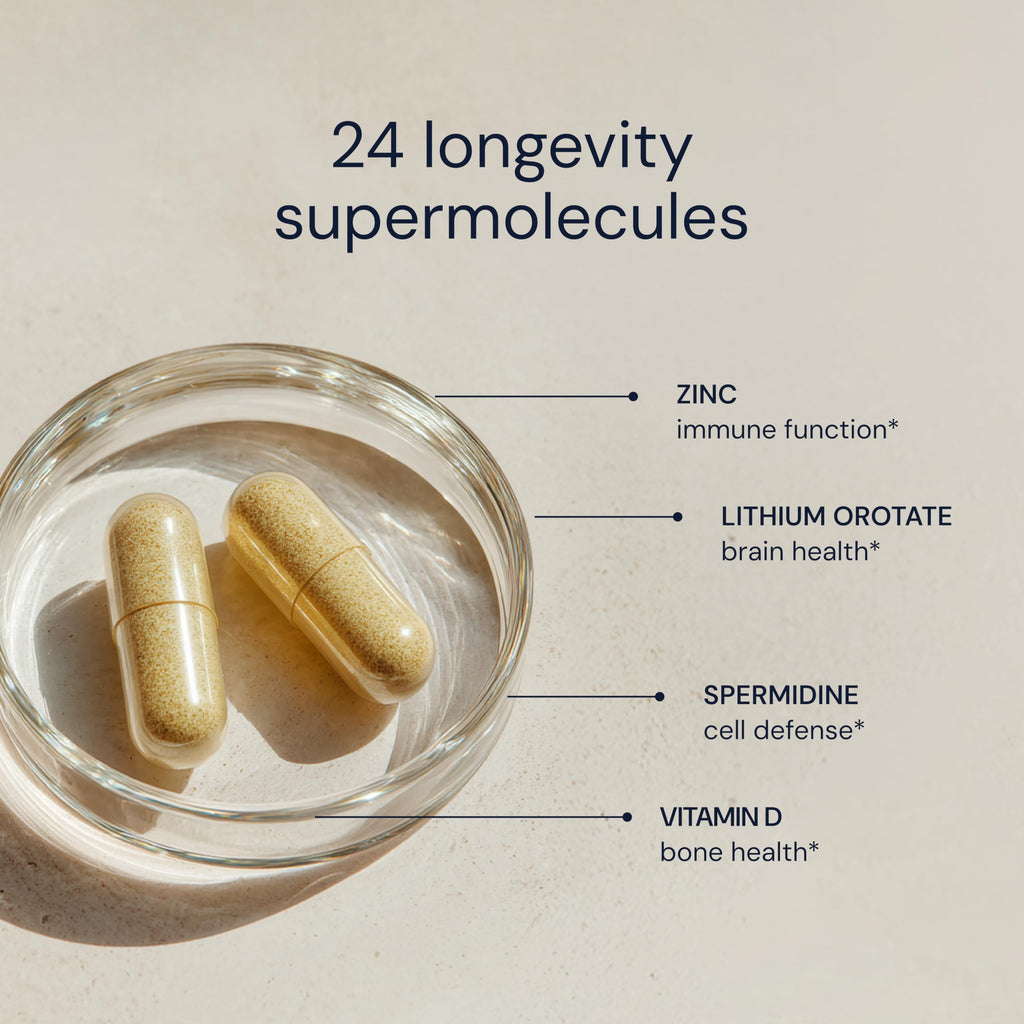 Daily Multivitamin Multimineral Antioxidant Supplement with Calcium Vitamin B1 Vitamin D Zinc Vegan Non GMO 30 Servings H864336
