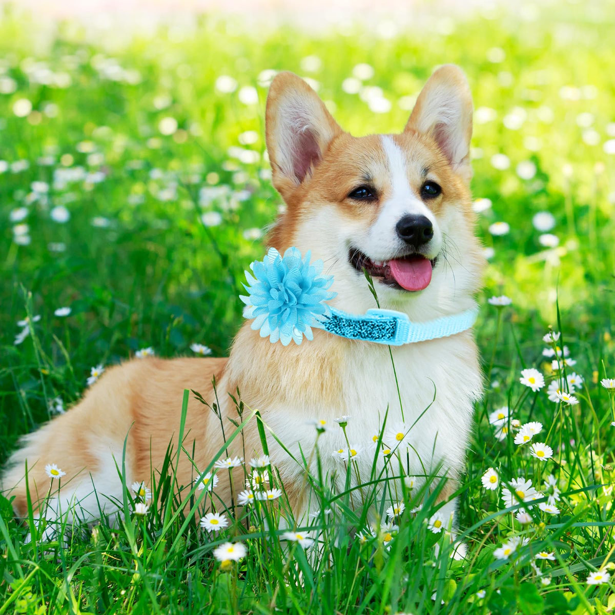 120 Pcs Multicolor Dog Collar Bows D287