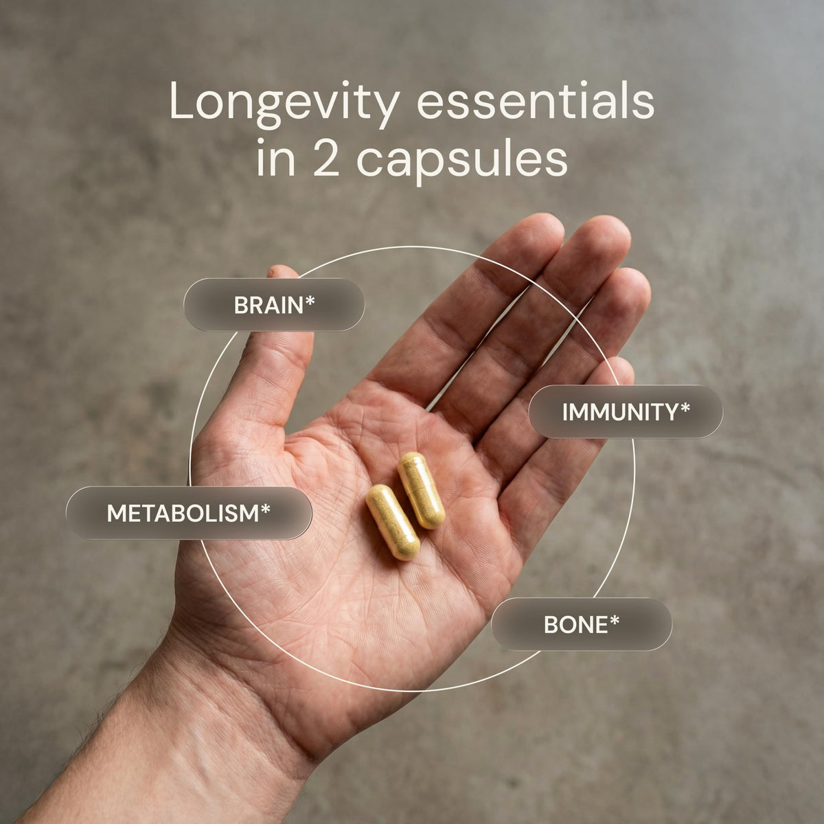Daily Multivitamin Multimineral Antioxidant Supplement with Calcium Vitamin B1 Vitamin D Zinc Vegan Non GMO 30 Servings H864336