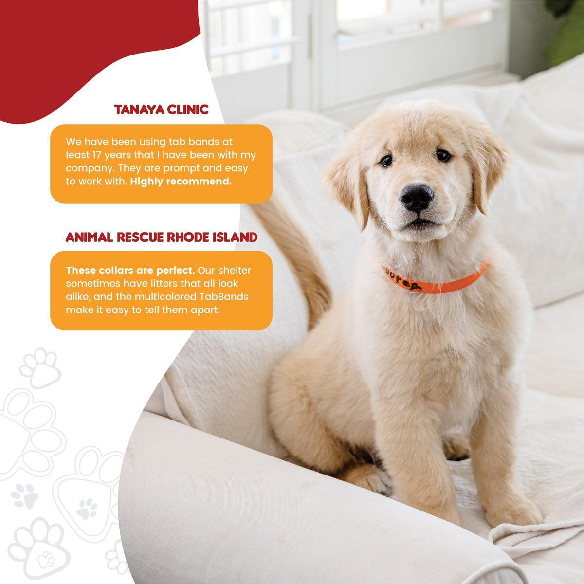 20 Inch 500 Count Waterproof Writable Tear-Resistant Pet ID Collars R499566