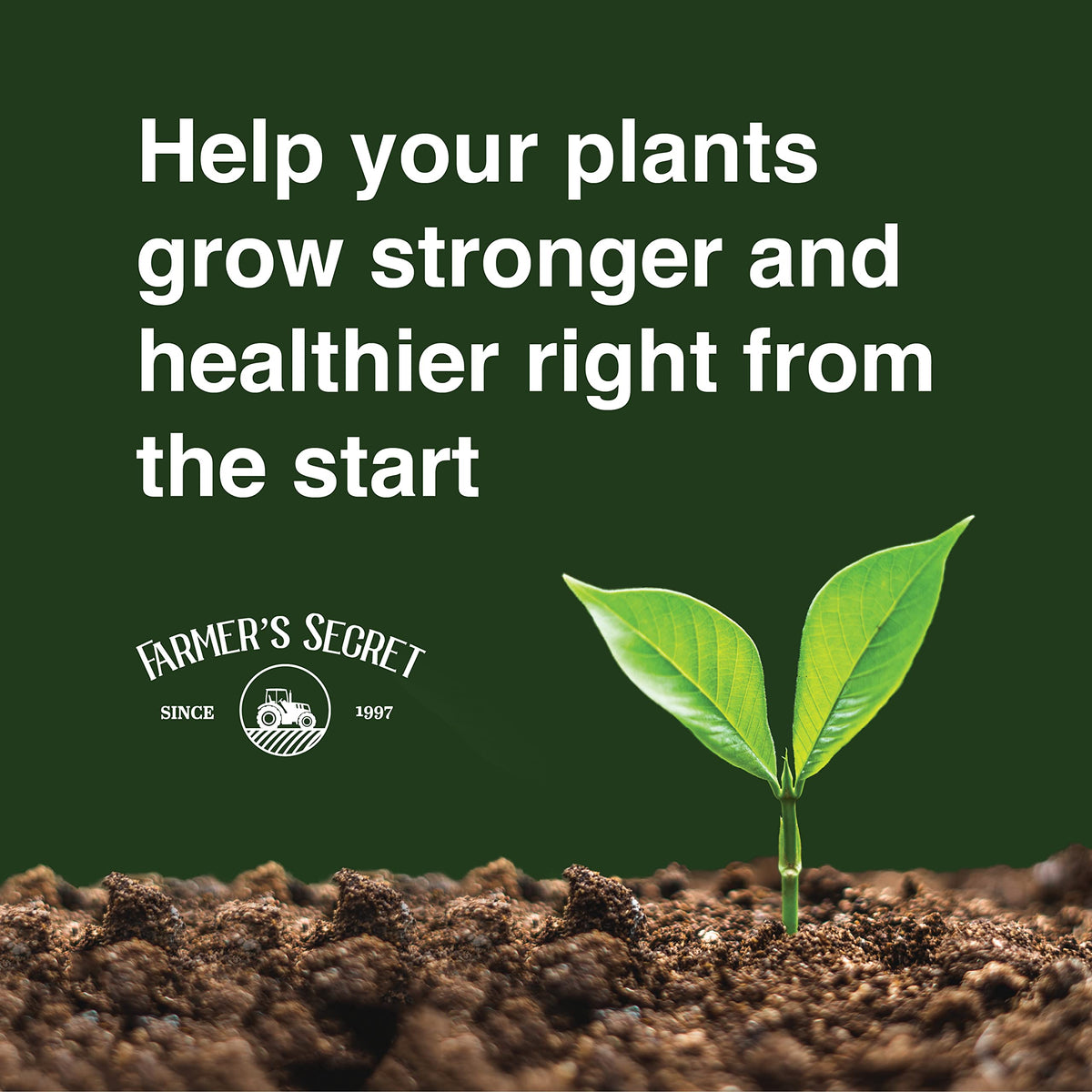32oz Concentrated High Phosphorus Plant Booster U913694