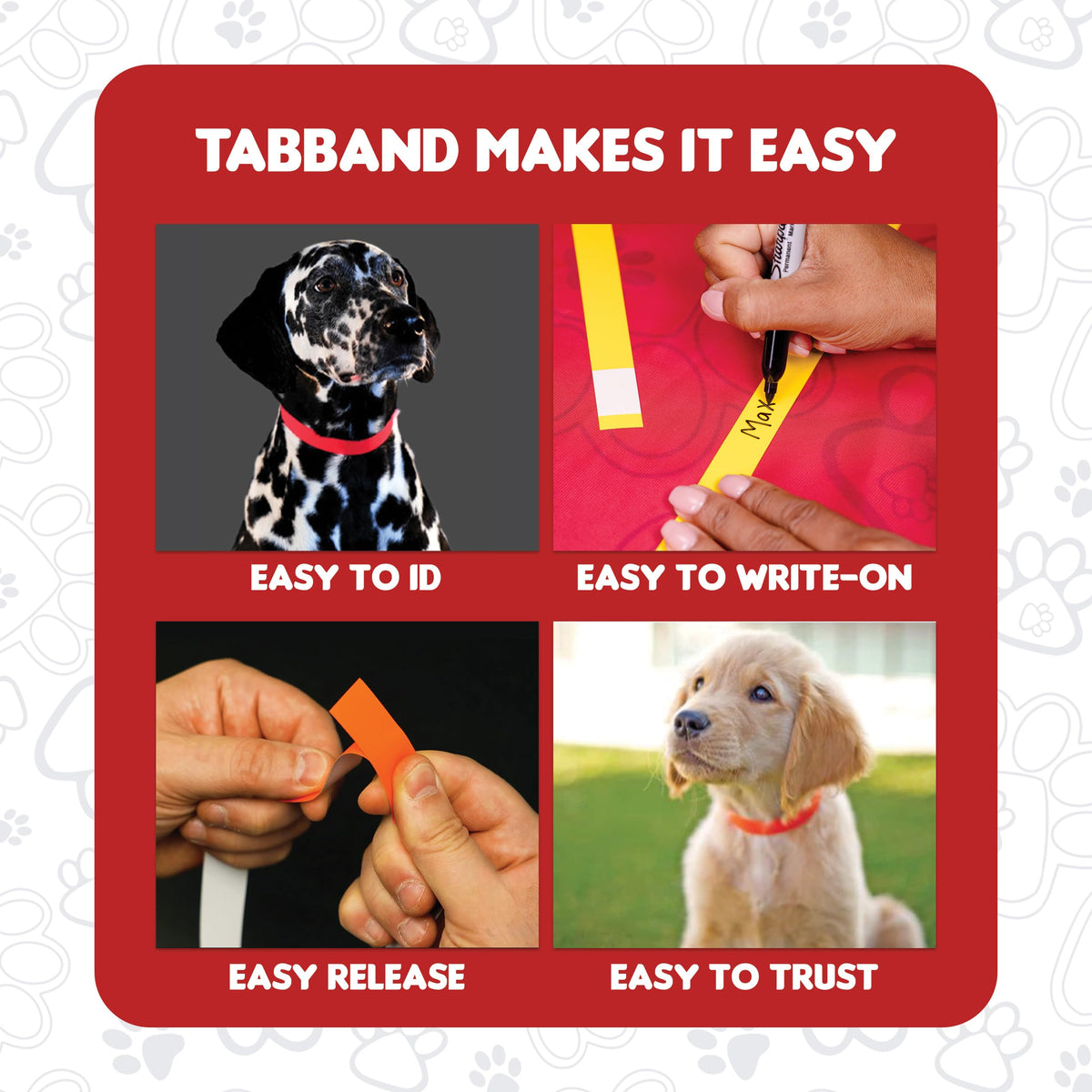 20 Inch 500 Count Waterproof Writable Tear-Resistant Pet ID Collars R499566